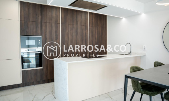 New build - Detached House/Villa - Ciudad Quesada - Lo marabú