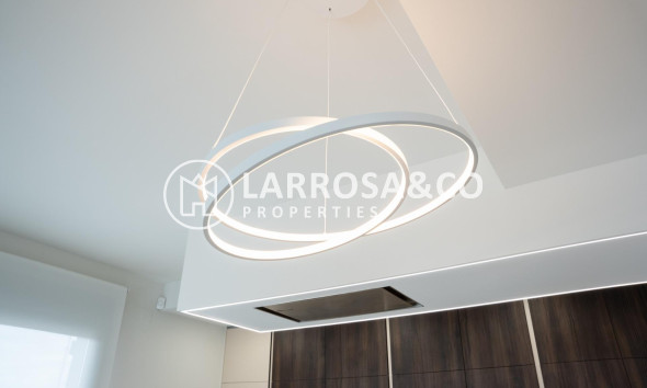 New build - Detached House/Villa - Ciudad Quesada - Lo marabú