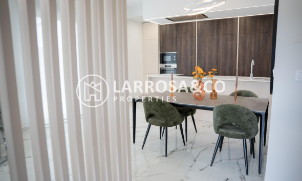 New build - Detached House/Villa - Ciudad Quesada - Lo marabú