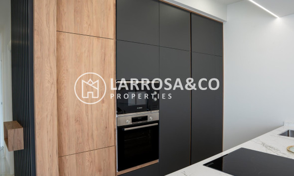 New build - Detached House/Villa - Ciudad Quesada - Lo marabú