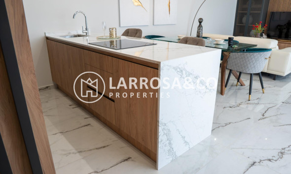 New build - Detached House/Villa - Ciudad Quesada - Lo marabú