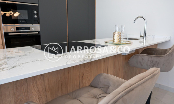 New build - Detached House/Villa - Ciudad Quesada - Lo marabú