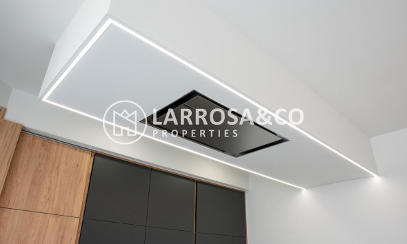 New build - Detached House/Villa - Ciudad Quesada - Lo marabú