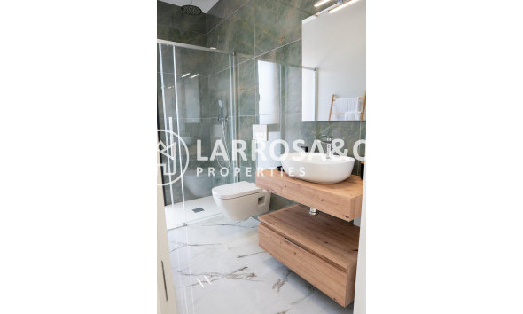 New build - Detached House/Villa - Ciudad Quesada - Lo marabú