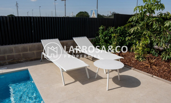 New build - Detached House/Villa - Ciudad Quesada - Lo marabú