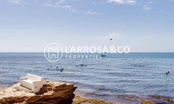 Resale - Commercial space - Torrevieja - Estacion de autobuses