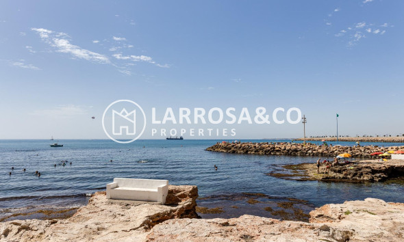 Resale - Commercial space - Torrevieja - Estacion de autobuses