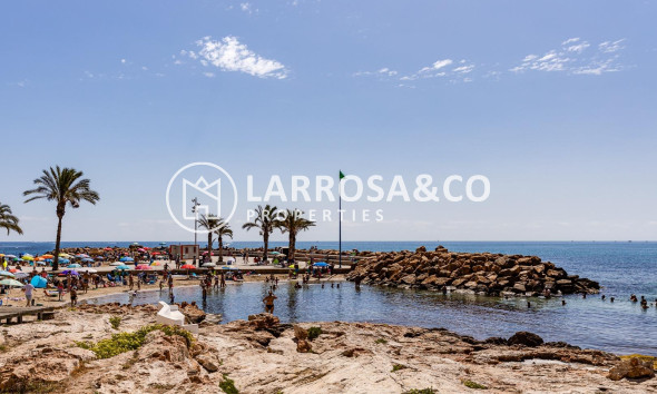 Resale - Commercial space - Torrevieja - Estacion de autobuses