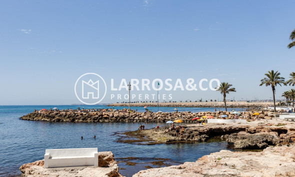 Resale - Commercial space - Torrevieja - Estacion de autobuses