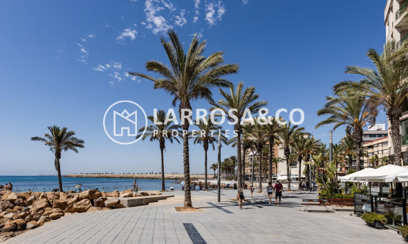 Resale - Commercial space - Torrevieja - Estacion de autobuses