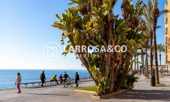 Resale - Commercial space - Torrevieja - Estacion de autobuses