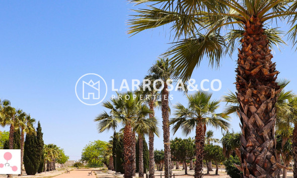 New build - Detached House/Villa - San Fulgencio - La Escuera