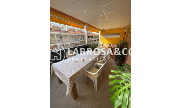 A Vendre - Penthouse  - Guardamar del Segura - Guardamar Playa