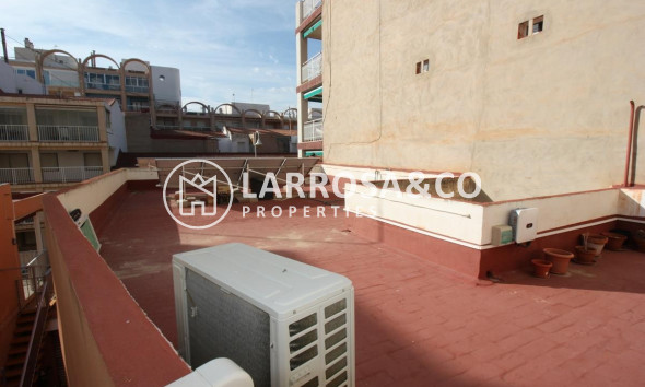 A Vendre - Penthouse  - Guardamar del Segura - Guardamar Playa