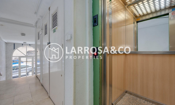 A Vendre - Penthouse  - Torrevieja - Habaneras