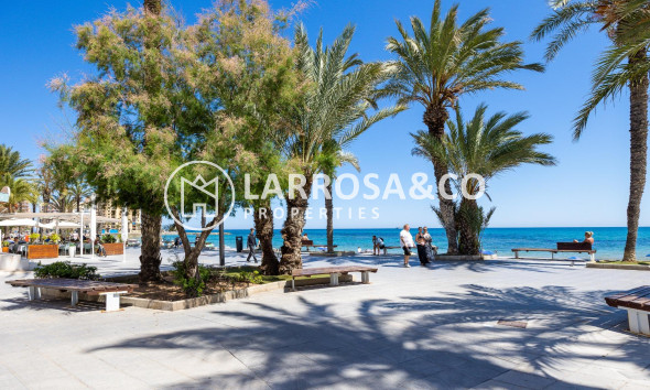 A Vendre - Penthouse  - Torrevieja - Habaneras