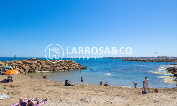 A Vendre - Penthouse  - Torrevieja - Habaneras