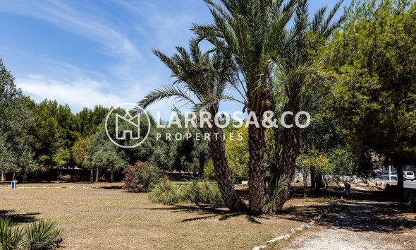 Resale - Apartment - Torrevieja - Acequion