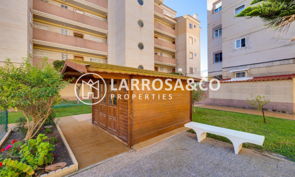 A Vendre - Apartment - Torrevieja - Calas blanca