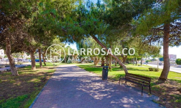 A Vendre - Apartment - Torrevieja - Calas blanca