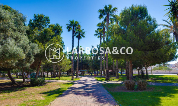 A Vendre - Apartment - Torrevieja - Calas blanca