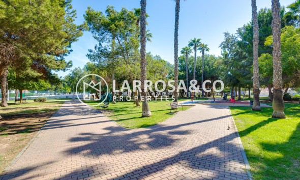 A Vendre - Apartment - Torrevieja - Calas blanca