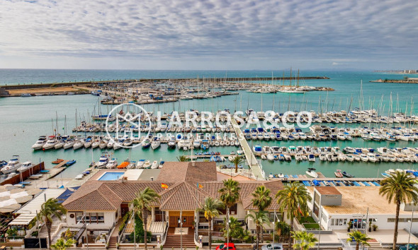 Resale - Detached House/Villa - Torrevieja - El molino