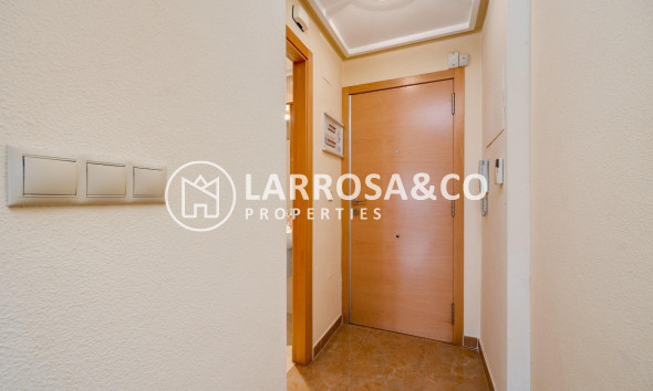 Reventa - Apartamento - Torrevieja - El molino