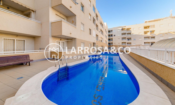 Reventa - Apartamento - Torrevieja - El molino