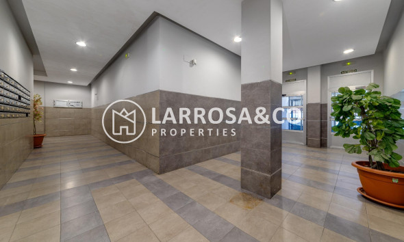 Reventa - Apartamento - Torrevieja - El molino