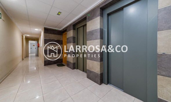 Reventa - Apartamento - Torrevieja - El molino