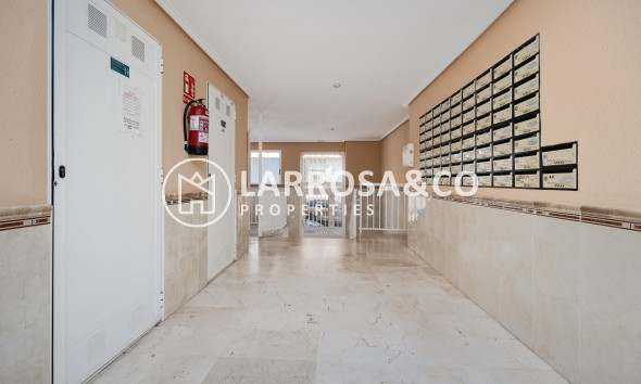 A Vendre - Apartment - Torrevieja - Habaneras