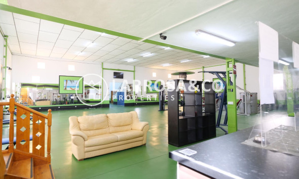 A Vendre - Industrial Field - Almoradí