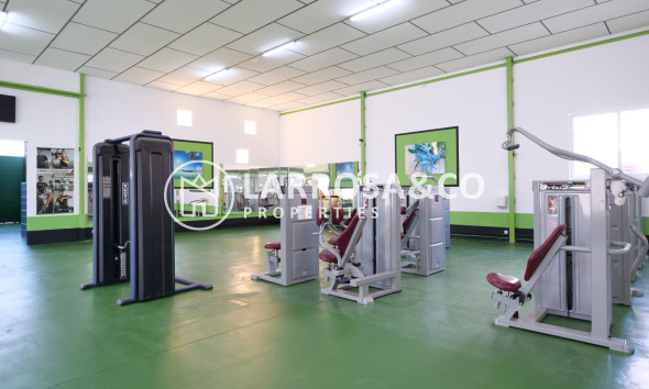 A Vendre - Industrial Field - Almoradí