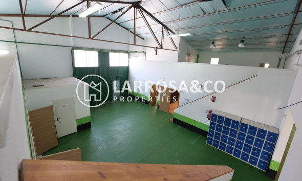 A Vendre - Industrial Field - Almoradí