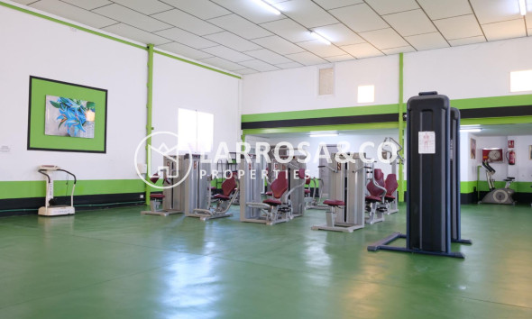 A Vendre - Industrial Field - Almoradí