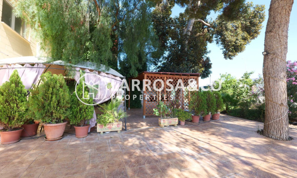 A Vendre - Industrial Field - Almoradí