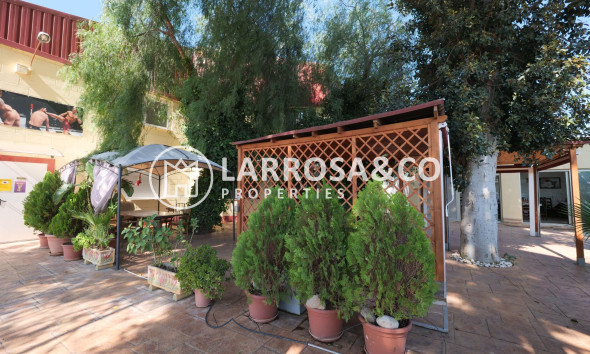 A Vendre - Industrial Field - Almoradí