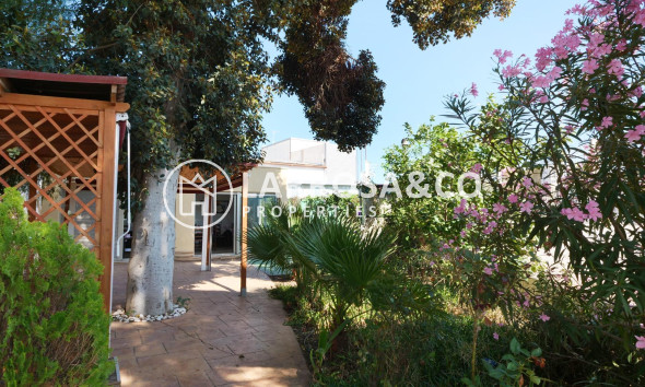 A Vendre - Industrial Field - Almoradí