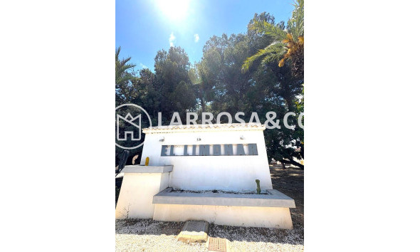 A Vendre - Semi-detached house - Torrevieja - El limonar