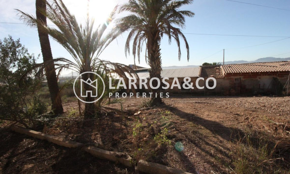 Вторичный рынок - Земля/Участки - Orihuela - La Aparecida