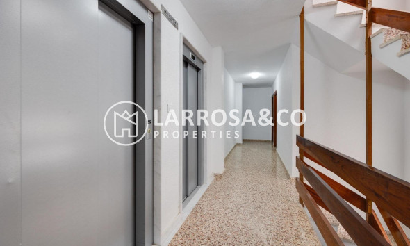 Resale - Apartment - Torrevieja - Playa de los Naufragos