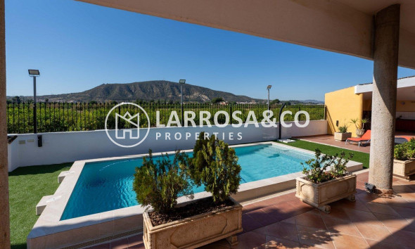 Reventa - Chalet - Orihuela - Orihuela Ciudad