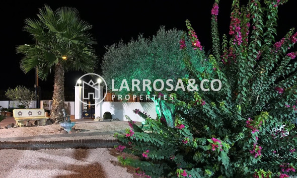 Reventa - Chalet - Orihuela - Orihuela Ciudad