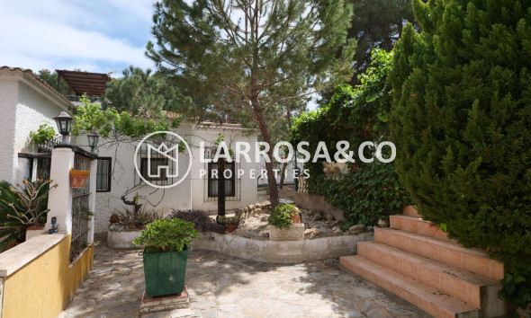 A Vendre - Villa - Torrevieja - Los Balcones