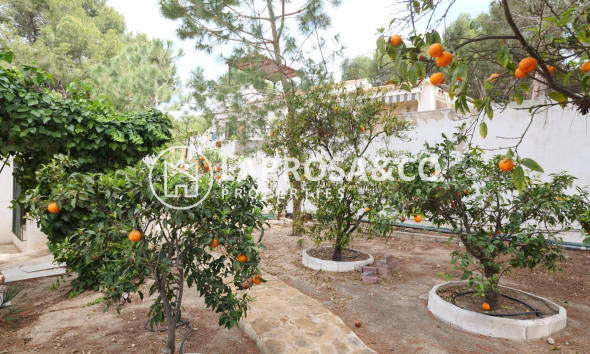 A Vendre - Villa - Torrevieja - Los Balcones