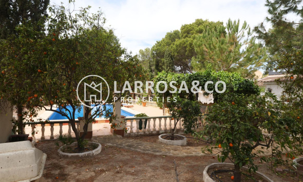A Vendre - Villa - Torrevieja - Los Balcones