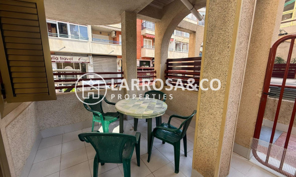 Reventa - Planta baja - Torrevieja - Acequion