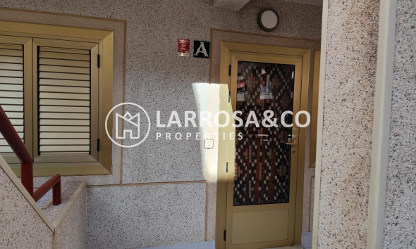 Reventa - Planta baja - Torrevieja - Acequion