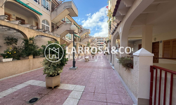 Reventa - Planta baja - Torrevieja - Acequion